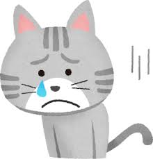 吾輩は猫である…の子猫たちの里親がみつかりました。イメージ