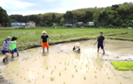 田植えイメージ