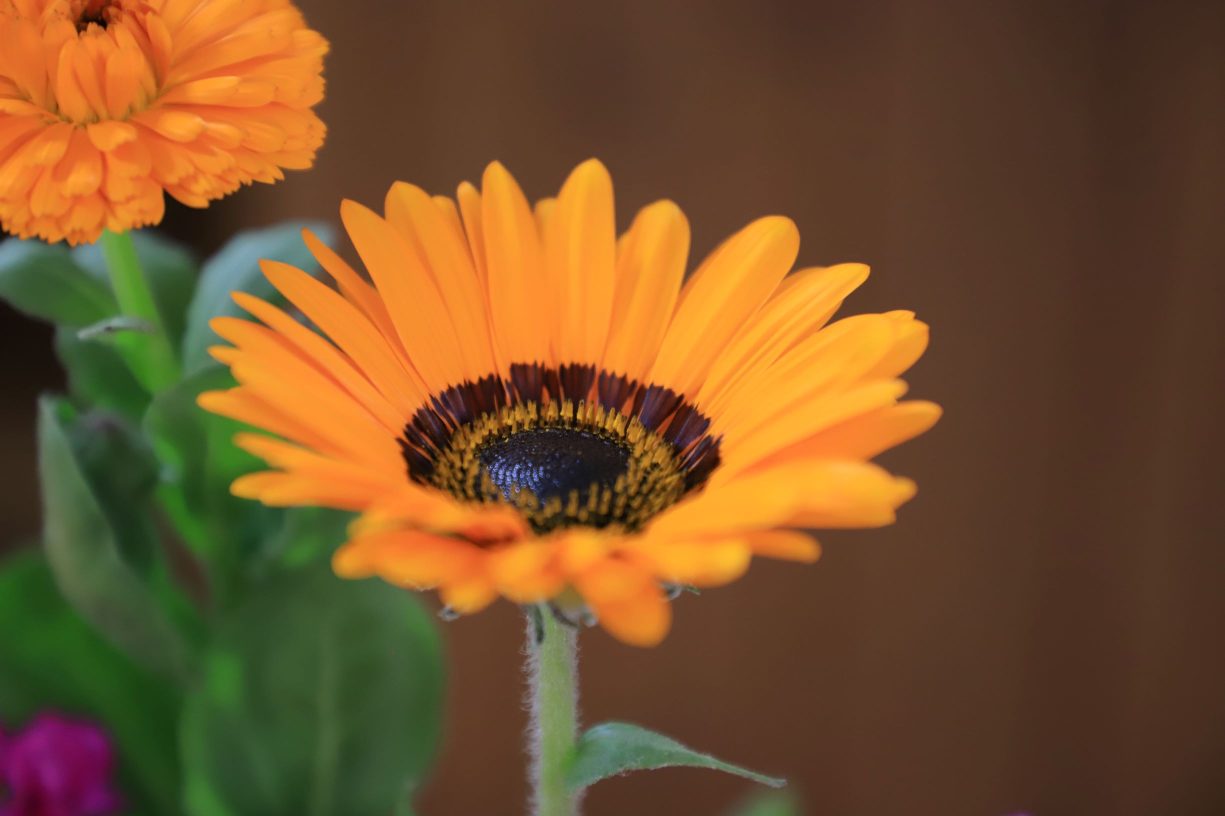 見事な腕前🌼イメージ