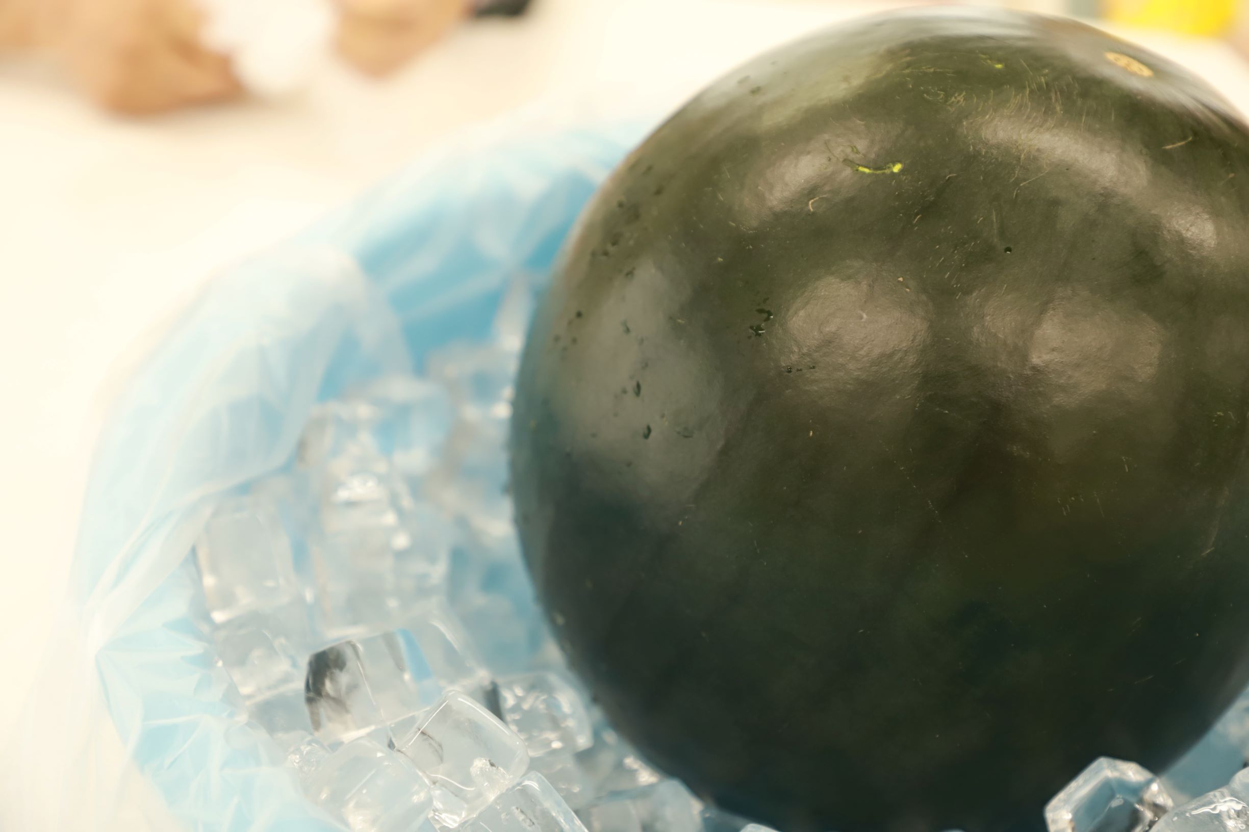 第4回　スイカ割り大会　２階の巻🍉イメージ