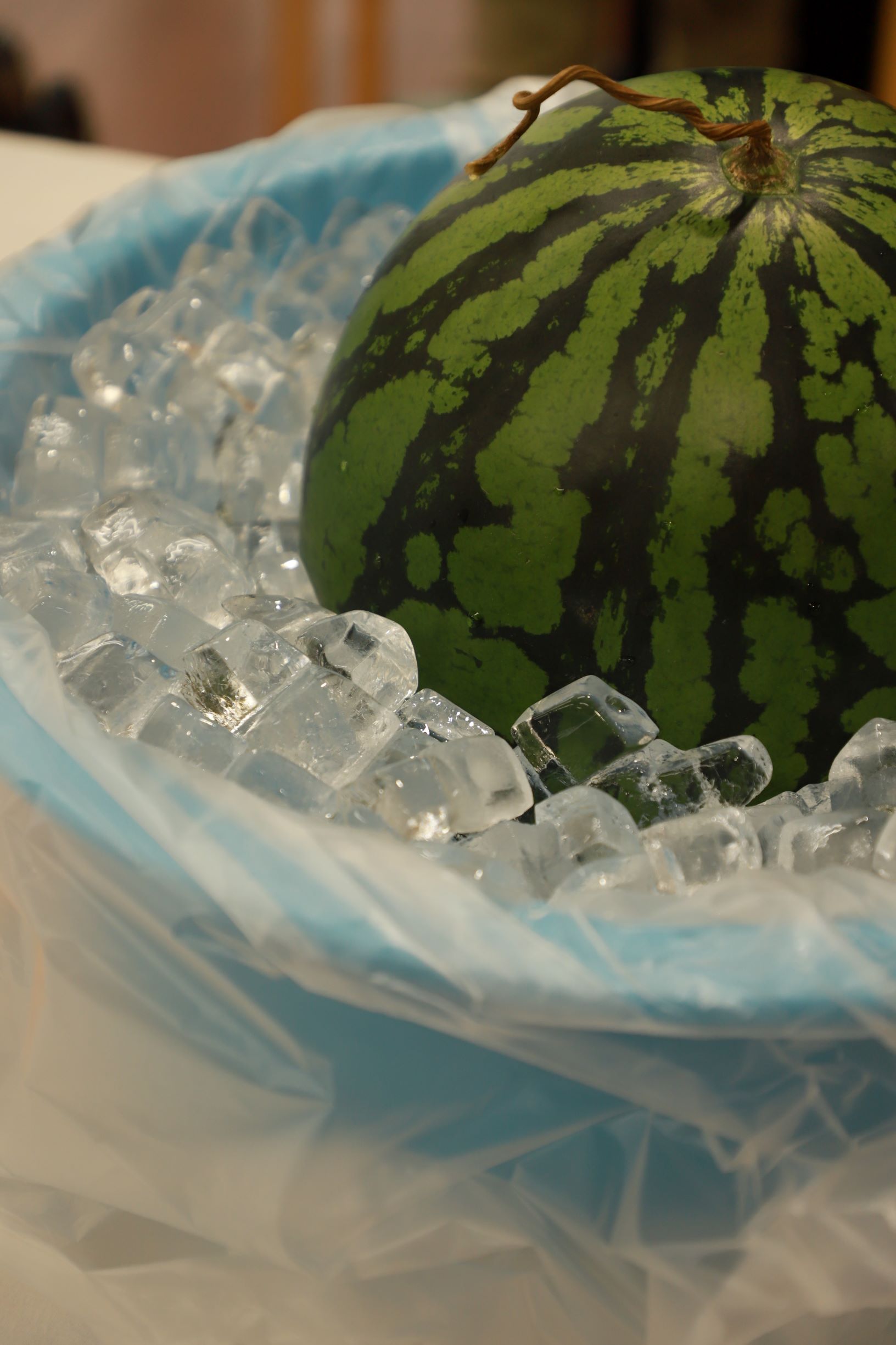 第4回スイカ割り大会　１階の巻🍉イメージ