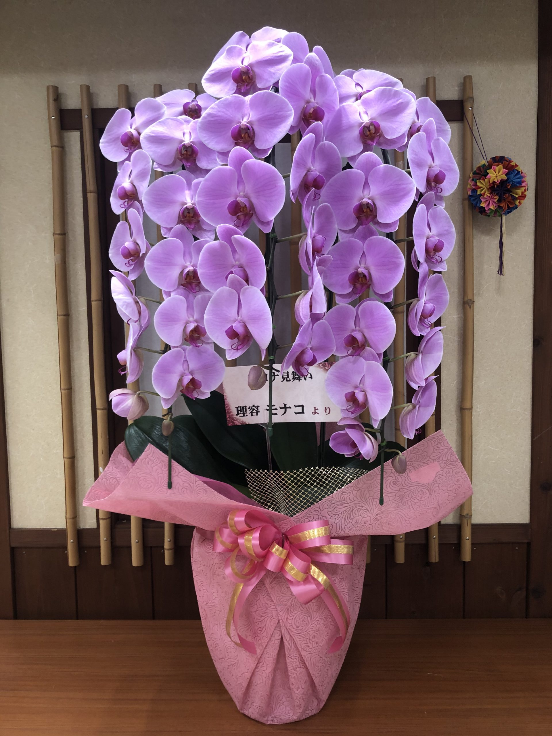 ステキな胡蝶蘭イメージ