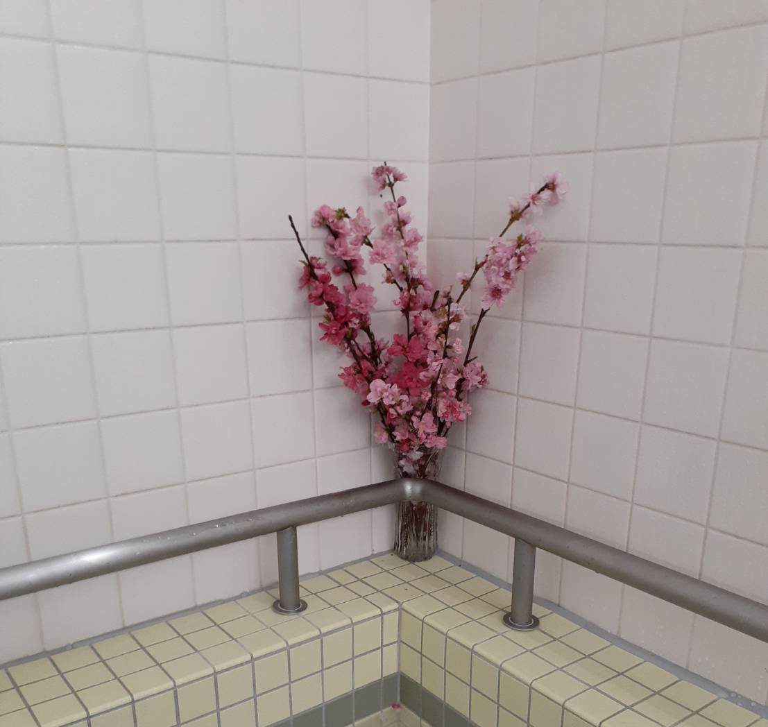 お風呂の日🛀入浴イベント✨SAKURA🌸YOMOGI🍃イメージ