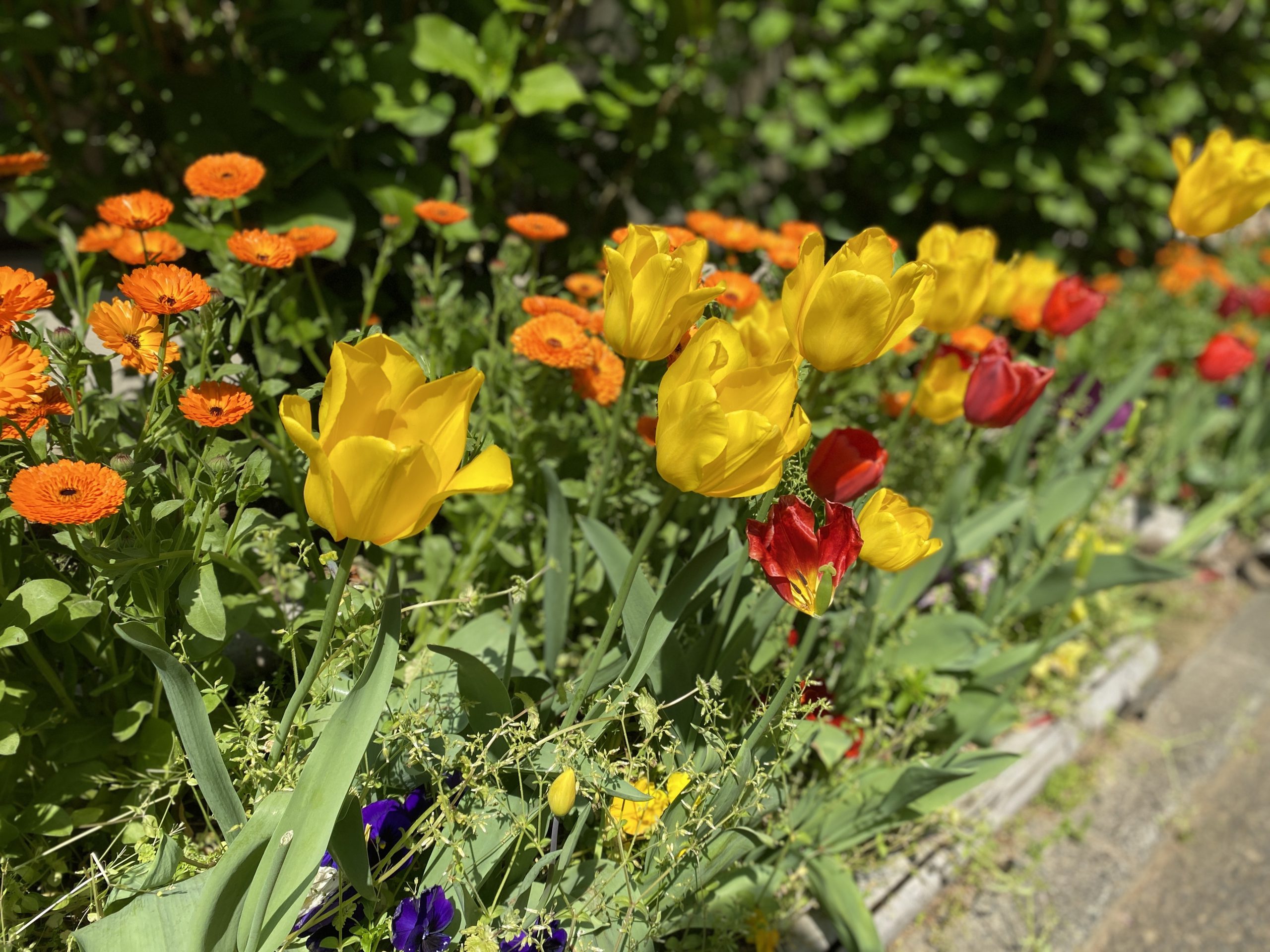皆さんで日光浴しました🌞🌷本館✨イメージ