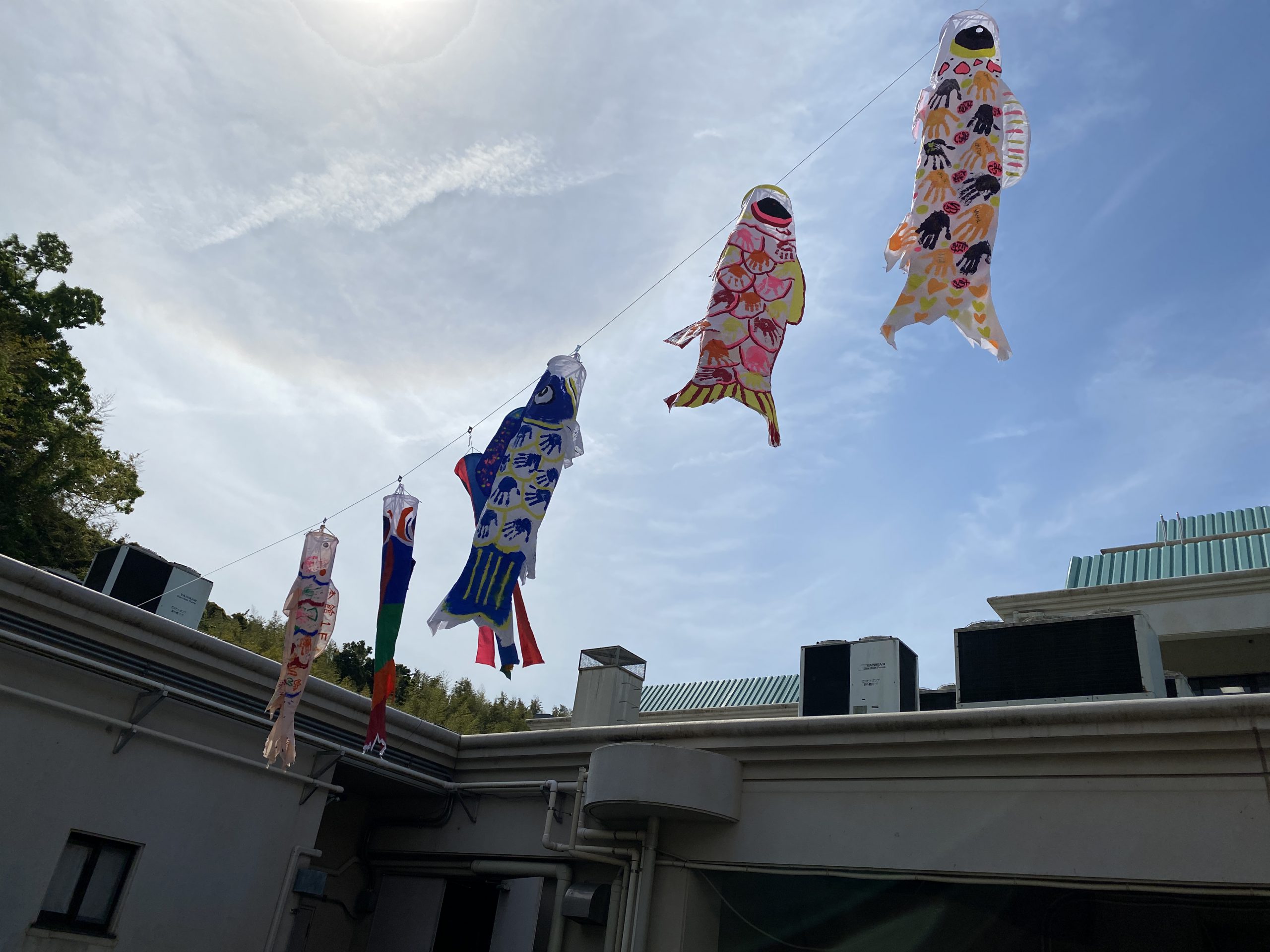 鯉のぼり大作戦🎏2021イメージ
