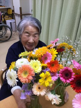 🌷春の花々🌷イメージ