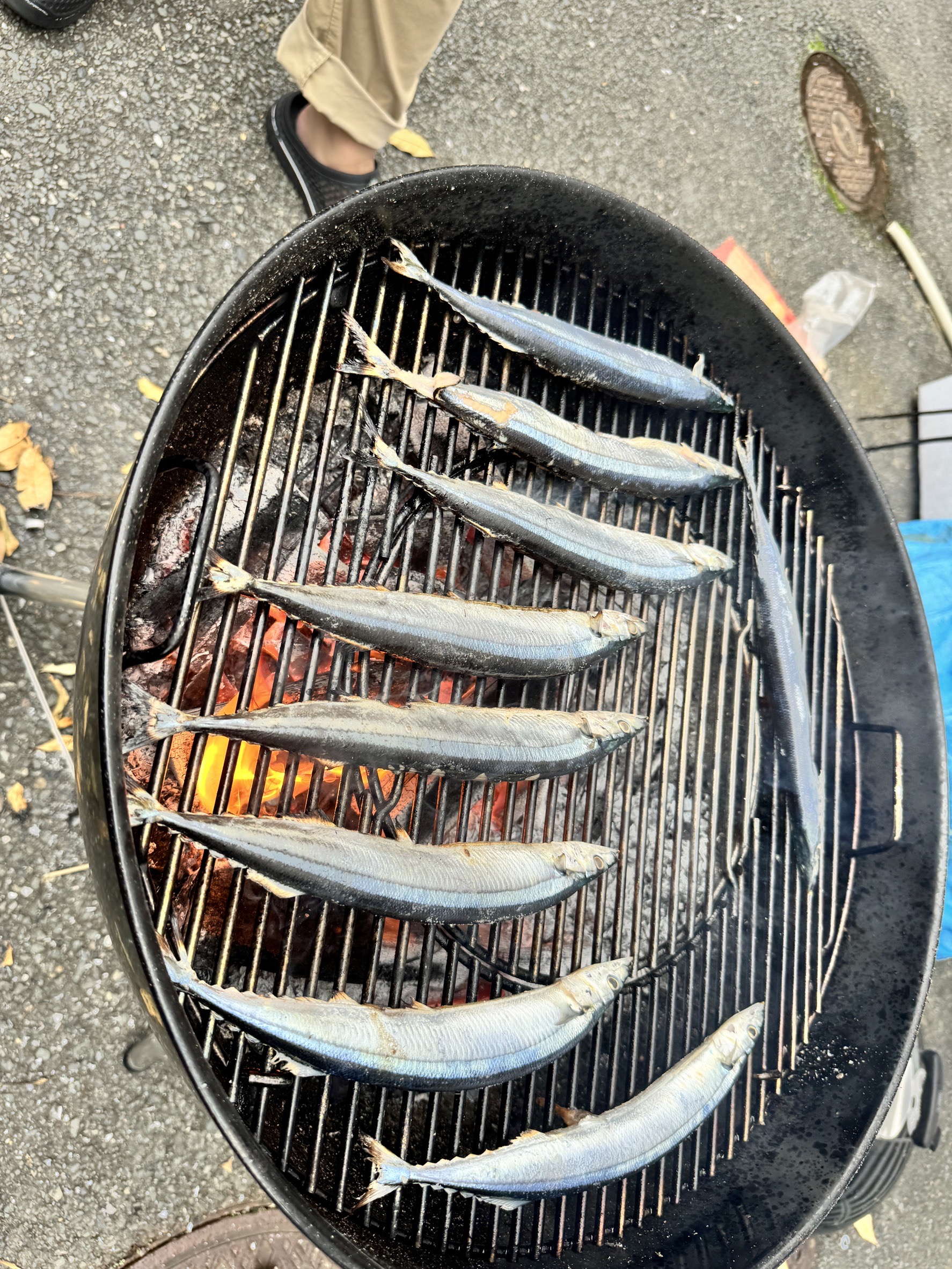 秋の味覚祭り～秋刀魚～✨南清苑イメージ