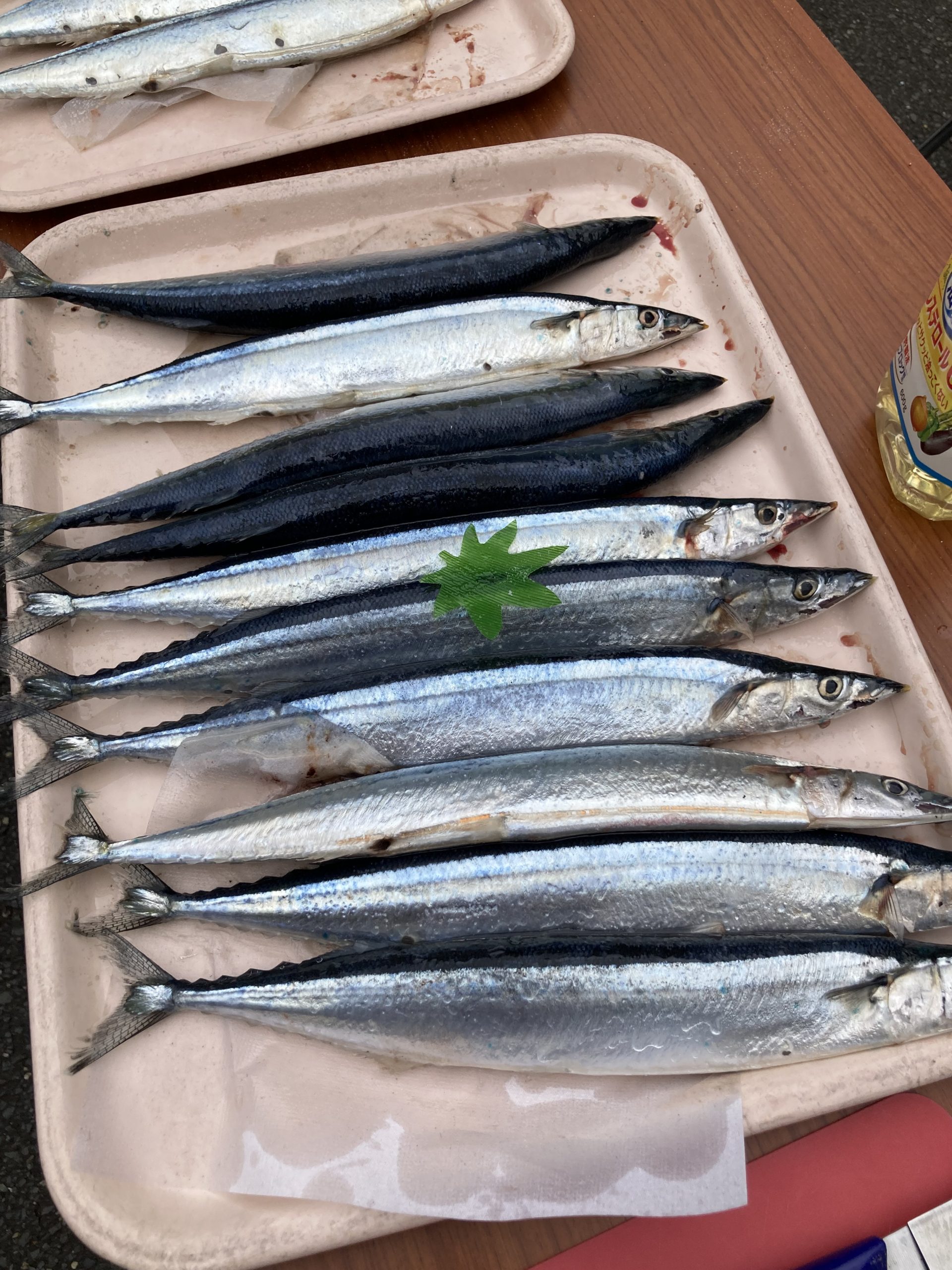 秋の味覚祭✨ｻﾝﾏ試食会★木更津南清苑イメージ